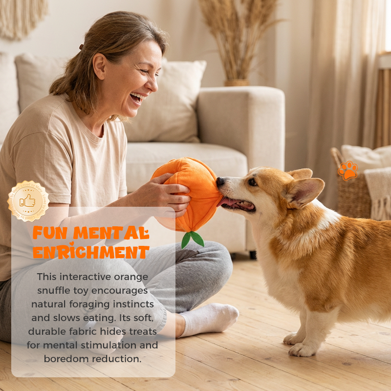 CitrusQuest — Interactief hondenspeelgoed | 50% KORTING