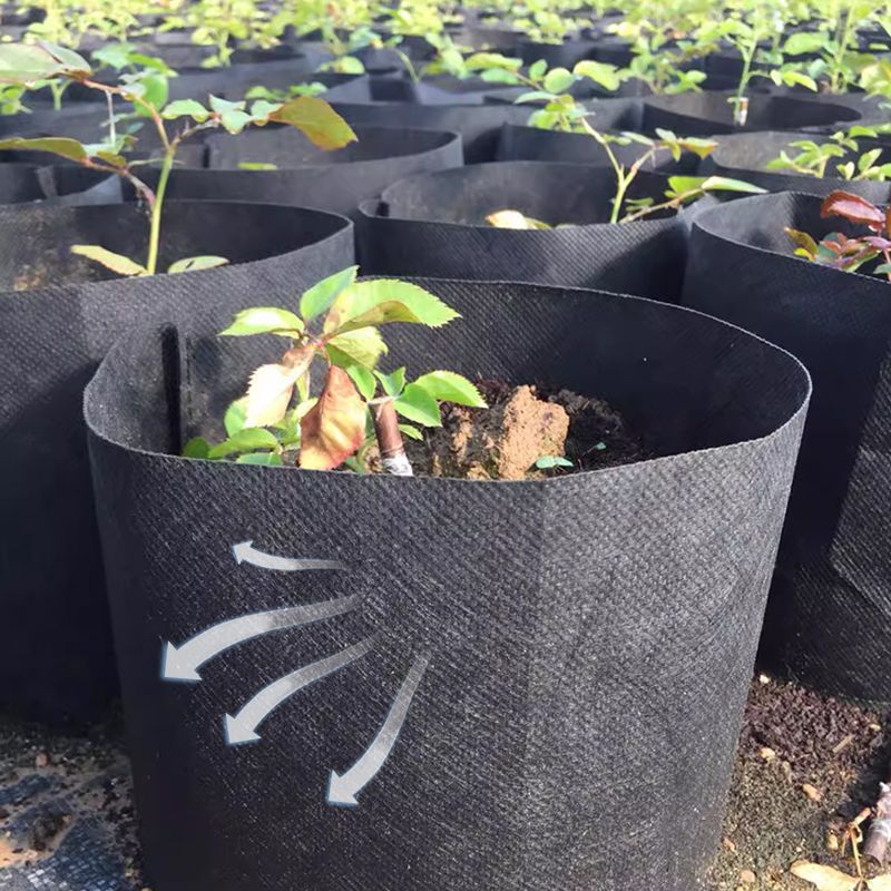 GeoRoot Plantzakken — Gezonde Wortels, Maximale Groei