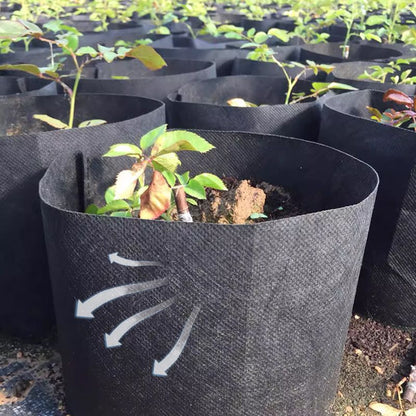 GeoRoot Plantzakken — Gezonde Wortels, Maximale Groei