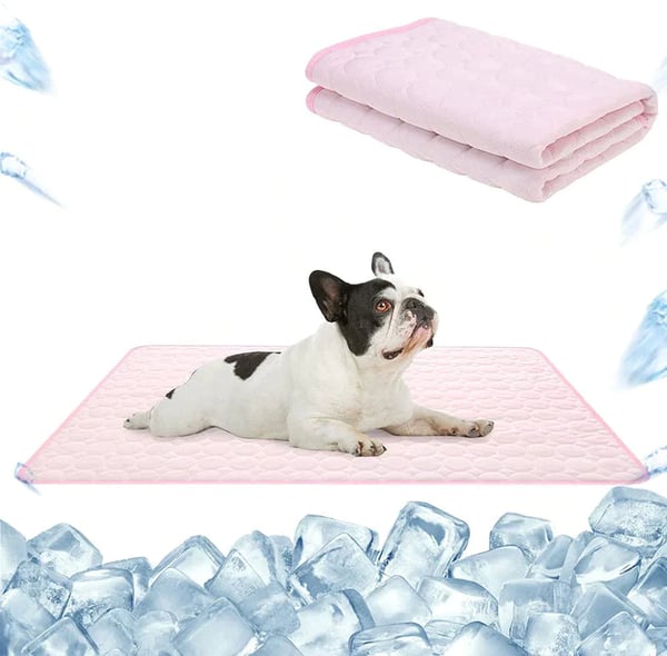 ChillPaw Matte – Direct Koeling en Comfort