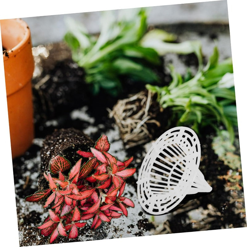 ProSoilGuard — Moeiteloze Wortelvernieuwing