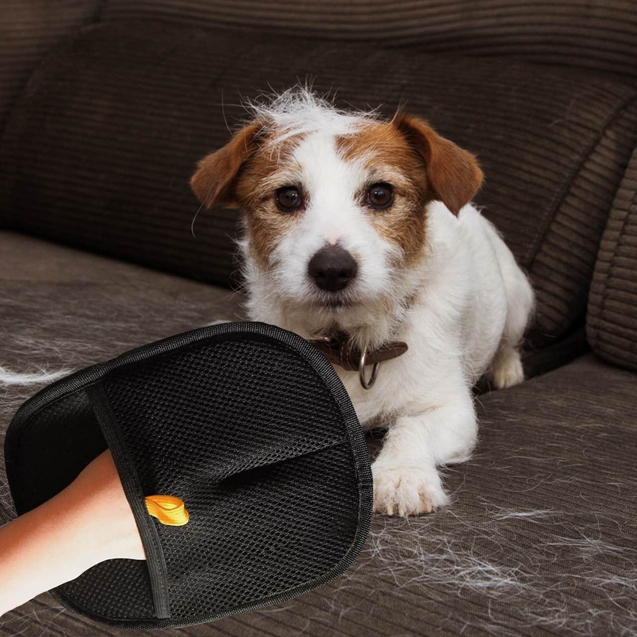 GroomyGlove – Antistatische handschoen voor het verwijderen van dierenhaar | 1+2 GRATIS