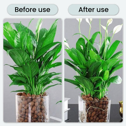 BloomGuard – Antibacteriële bruistabletten voor bloemen | 1+1 GRATIS