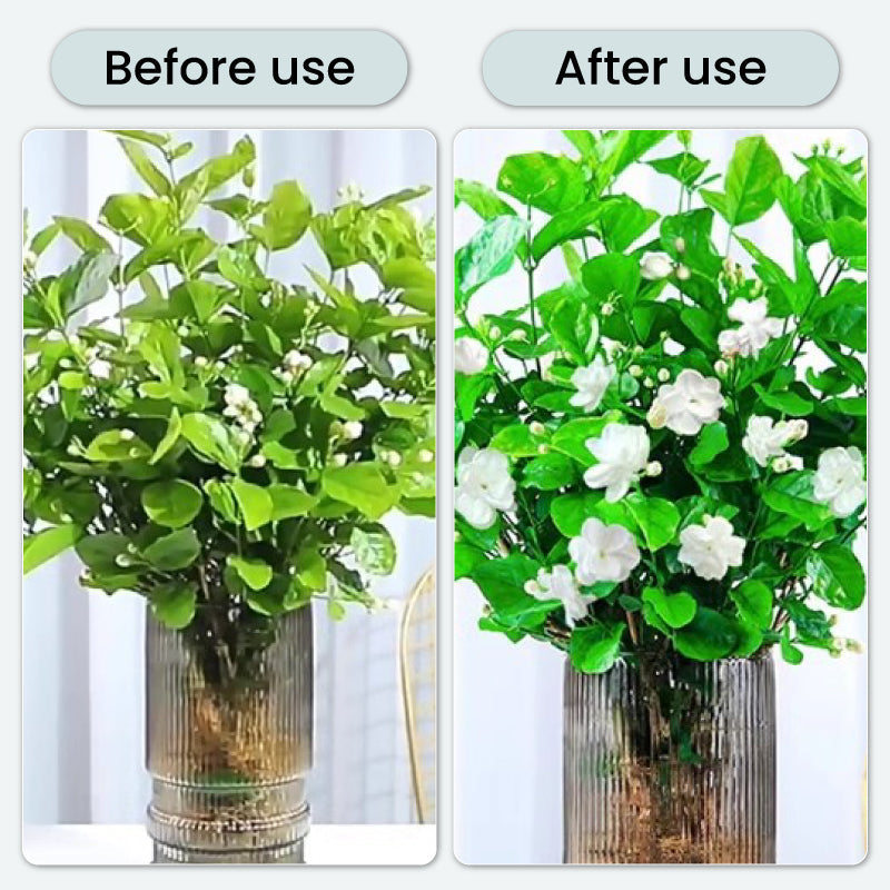 BloomGuard – Antibacteriële bruistabletten voor bloemen | 1+1 GRATIS