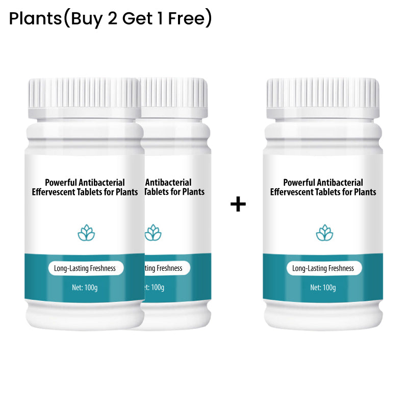 BloomGuard – Antibacteriële bruistabletten voor bloemen | 1+1 GRATIS