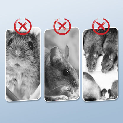 RodentGuard – Herbruikbare rattenval | 1+2 GRATIS