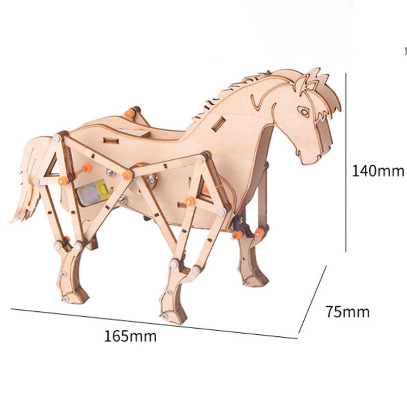 DIY Science Experiment for Children Creative Toys