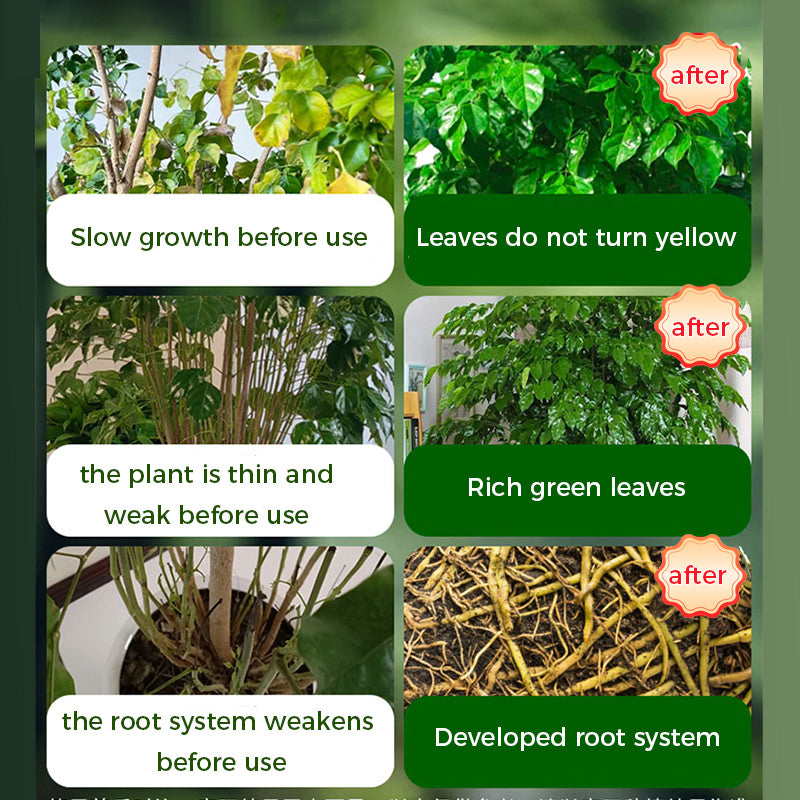 GreenBloom – Snelle wortel- en bloeipoeder | 1+1 GRATIS