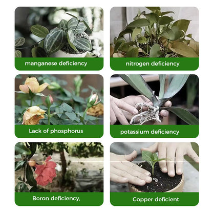 GreenBloom – Snelle wortel- en bloeipoeder | 1+1 GRATIS