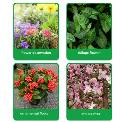 GreenBloom – Snelle wortel- en bloeipoeder | 1+1 GRATIS