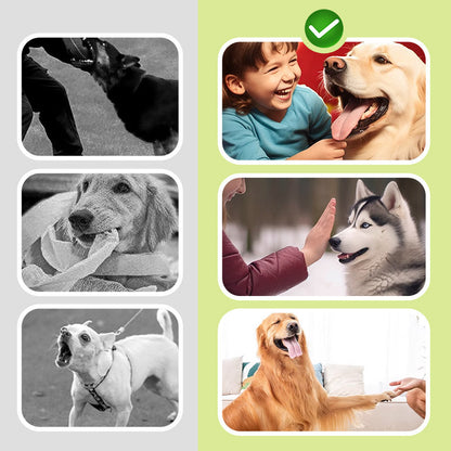 BarkStop – Veilig & Effectief Hondentraining | 50% KORTING