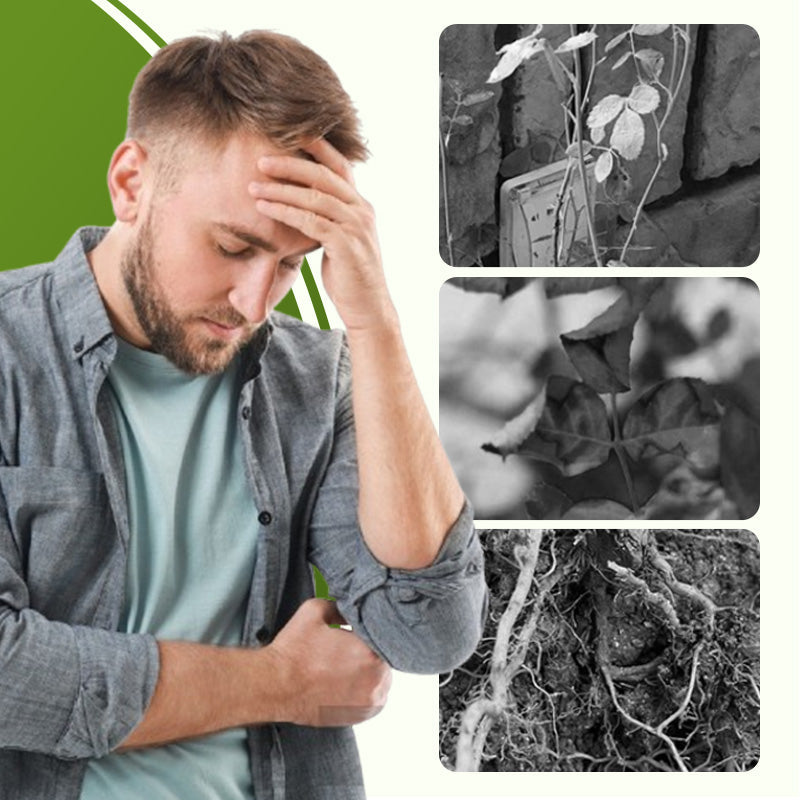 PlantShield™ 130 ml oplosbare plantenmeststof met ziektebescherming | 1+1 GRATIS