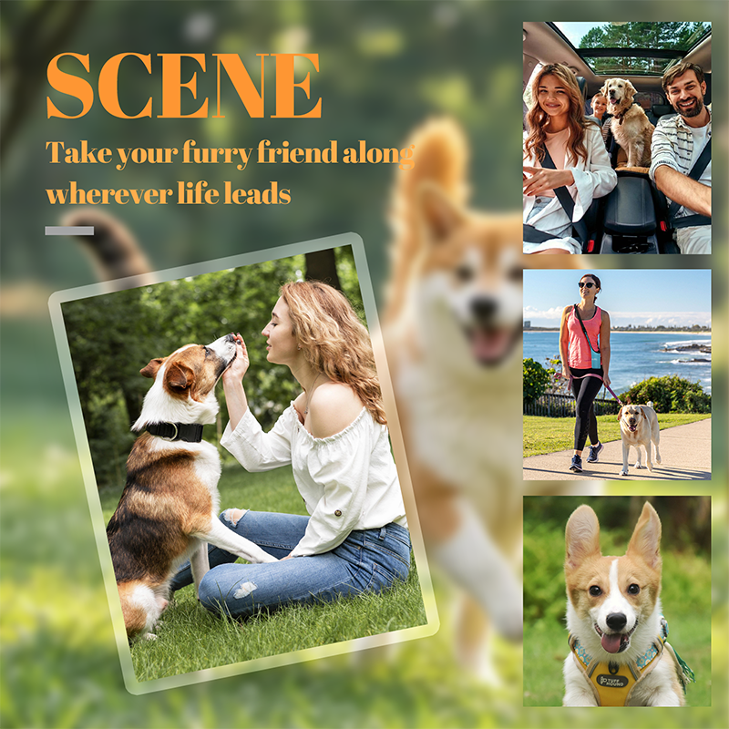 HeartPaw Sleutelhanger | 1+2 GRATIS