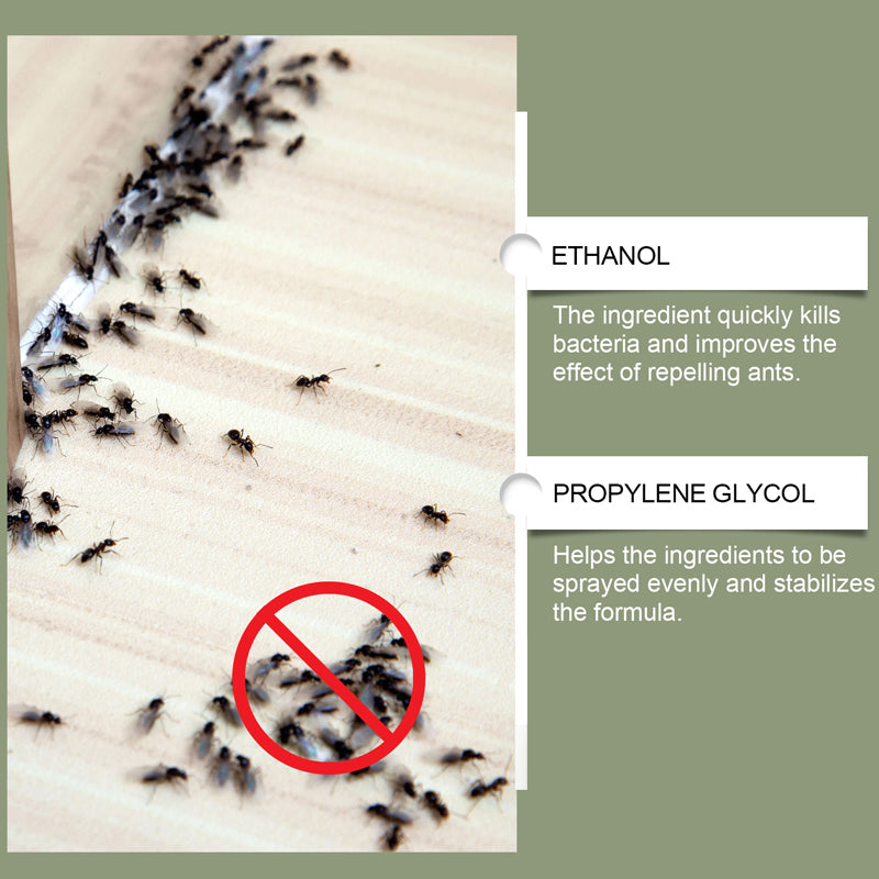 AntAway™ Krachtige Mierenspray | 1+1 GRATIS