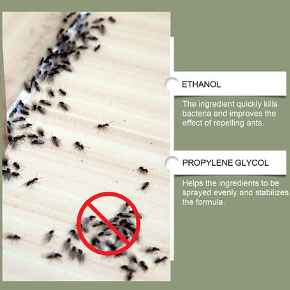 AntAway™ Krachtige Mierenspray | 1+1 GRATIS