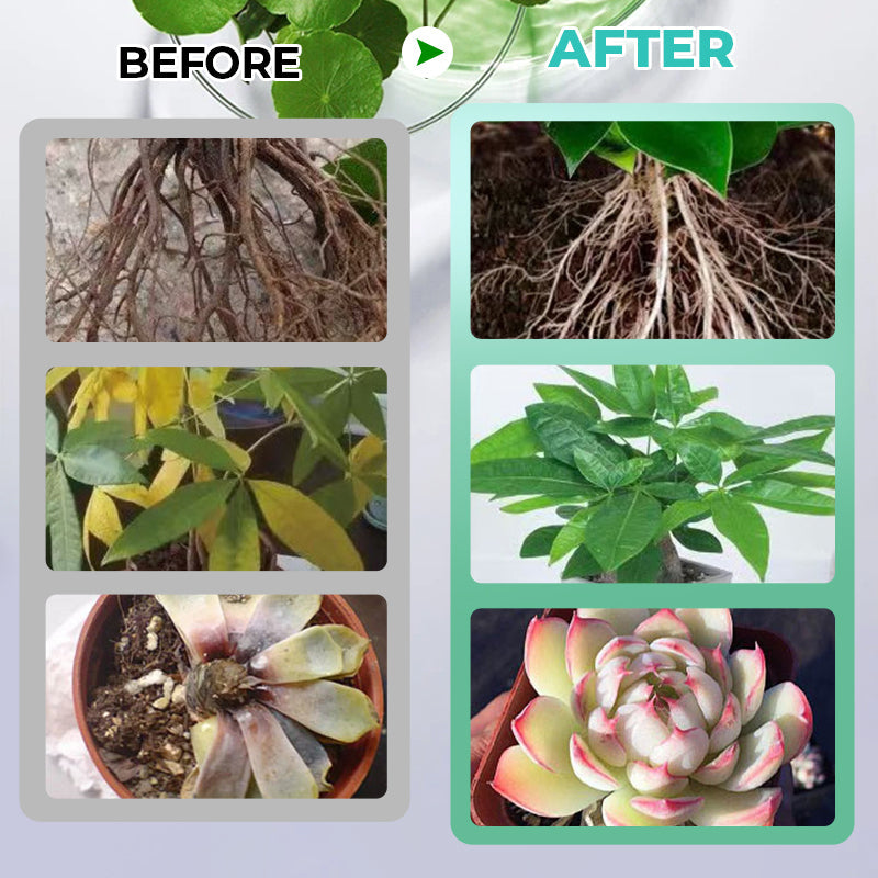 HydroGrow – Hydroponische voedingsoplossing | 1+2 GRATIS