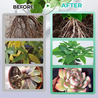 HydroGrow – Hydroponische voedingsoplossing | 1+2 GRATIS