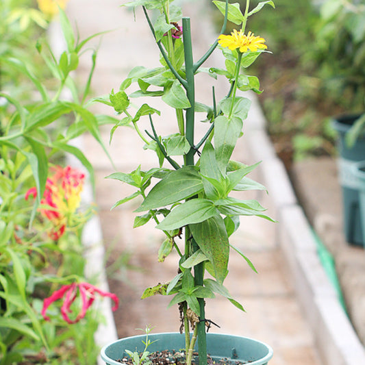 GreenGrow – Ondersteuning voor kunstmatige planten