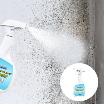 PowerClean – Leistungsstarker Wandflecken- & Schimmelentferner | 1+1 GRATIS