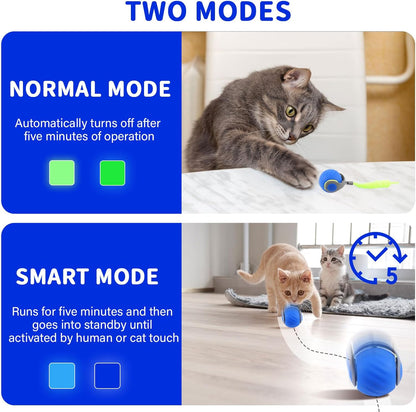 PurrMotion – Interactieve oplaadbare kattenbal | 1+1 GRATIS
