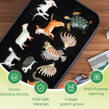 NaturePlay – Insecten- en dierenspeelgoed voor kinderen | 50% KORTING