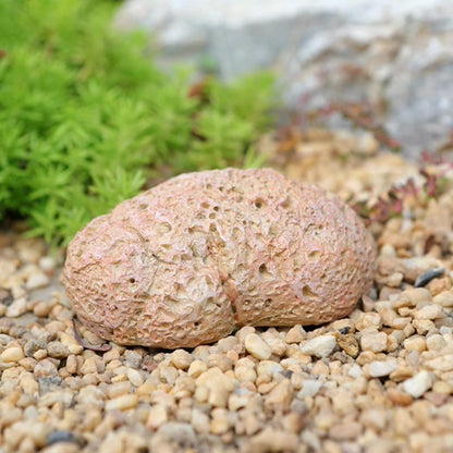 SafeStone – Verborgen doos “Steensimulatie”