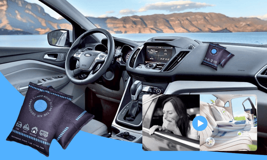 DrySense – Zichtbare vochtbescherming voor een fris en droog huis! | 1+1 GRATIS